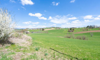 Grundstück - 4155, Heinrichsberg - Landwirtschaftlicher Nutzgrund in Heinrichsberg ZU KAUFEN