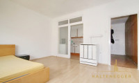 Wohnung - 1030, Wien - Ruhige 1-Zimmer-Wohnung direkt neben dem Botanischen Garten