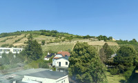 Wohnung - 3400, Klosterneuburg - Gepflegte  -  Maisonette -Wohnung in ruhiger Lage  und Garagenplatz !