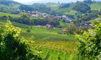 Wohnung - 8461, Gamlitz - Traumwohnung mit Balkon und Loggia - Rundumblick in die südsteirischen Weinberge