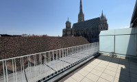 Wohnung - 1010, Wien - PERFEKTE CITY-WOHNUNG MIT TERRASSE BEIM STEPHANSPLATZ