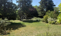 Grundstück - 2721, Bad Fischau - Wenn Größe auf Potenzial trifft: 1.884 m² in begehrter Wohnlage von Bad Fischau