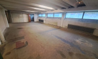 Halle / Lager / Produktion - 1230, Wien - Flexible Lagermöglichkeiten!