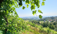 Gastgewerbe - 8442, Kitzeck im Sausal - Lage! Lage! Lage! Traumhaftes Anwesen mit Rundumblick in Kitzeck - Südsteiermark
