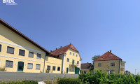 Halle / Lager / Produktion - 8522, Petzelsdorf in der Weststeiermark - Umfangreiche Liegenschaft mit großen Lagerflächen, Presshaus, Garagen und Wohnhaus - Weststeiermark