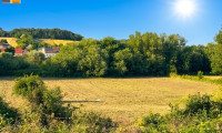 Grundstück - 2473, Potzneusiedl - ++ Grund zur Freude I MB IMMOBILIEN ++