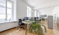 Büro / Praxis - 1010, Wien - Wunderschönes Büro in einem historischen Palais im Herzen der Wiener Innenstadt!