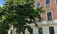 Wohnung - 1160, Wien - Liebe 2-Zimmer-Wohnung!