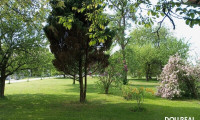 Grundstück - 5204, Straßwalchen - STEINDORF BEI STRASSWALCHEN: "Obstgarten 1" - Mehr Raum für Ihre Zukunft!