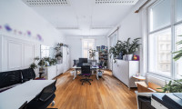 Büro / Praxis - 1010, Wien - UNBEFRISTET - REPRÄSENTATIVE ALTBAU-BÜROFLÄCHE IN BESTER INNENSTADTLAGE