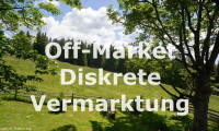 Haus - , keine Angabe - EINZIGARTIGES ALMREFUGIUM IN DER WESTSTEIERMARK – Ihr persönlicher Rückzugsort auf über 1.000 m Seehöhe!