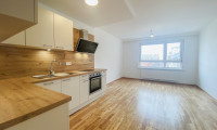 Wohnung - 1100, Wien - Wielandplatz - 6.OG - saniert