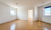 Wohnung - 2620, Peisching - Gemütliche 2-Zimmer-Wohnung in Peisching