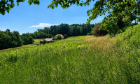 Grundstück - 7534, Olbendorf - Weitläufiges Grundstück (über 8.500 m²) - Bauland mit großzügiger Grünlandfläche in Olbendorf!
