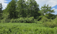 Grundstück - 7537, Neuberg im Burgenland - Waldgrundstück