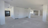 Büro / Praxis - 1130, Wien - Ihr Büro in Hietzinger Bestlage