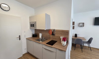 Wohnung - 4770, Andorf - Möbliertes 1-Zimmer-Apartment ohne Loggia € 520,- inkl. BK, HK, Strom u. Wlan