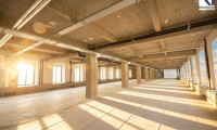 Büro / Praxis - 1030, Wien - LOFT-BÜRO im "FABIANI-HAUS"