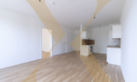 Wohnung - 4020, Linz - Erstklassige 2-Zimmer-Wohnung mit tollem Ostbalkon in Linz nahe Hummelhofwald zu vermieten!