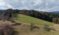Land und Forstwirtschaft - 8184, Anger - Wiesen und Wald