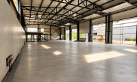 Halle / Lager / Produktion - 4600, Thalheim bei Wels - Moderne Gewerbehalle mit Bürofläche – Neubau in Toplage von Thalheim ZU KAUFEN