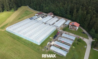 Halle / Lager / Produktion - 4890, Frankenmarkt - Gärtnerei und zwei Wohnhäuser in Frankenmarkt