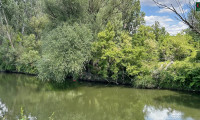 Haus - 3400, Klosterneuburg - Willkommem im Paradies! Entzückendes Sommerhaus mit direktem Zugang zum Wasser!