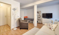 Wohnung - 5400, Hallein - Charmante Anleger-Großgarconniere im Herzen von Hallein