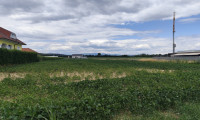 Grundstück - 7400, Oberwart - Grundstück in Oberwart, Aufschliessungsgebiet-Wohngebiet 3.615,83 m2  Baulandwohngebiet 954,15 m2