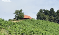 Land und Forstwirtschaft - 8463, Leutschach - Das ist DIE Gelegenheit für Weinbauern und solche die es werden möchten, Liegenschaft in Traumlage - Südsteiermark