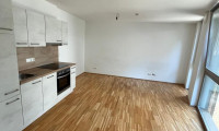 Wohnung - 8020, Graz,05.Bez.:Gries - Höchst originelles & sehr schönes 1 Zimmernest in der Griesgasse zur Miete.