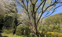 Haus - 3400, Weidlingbach - Wo Wochenenden zu Urlaub werden – traumhaftes Gartenrefugium am Exelberg