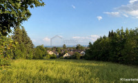 Grundstück - 2722, Winzendorf - Grundstück mit bester Infrastruktur und Natur vor der Haustür 🏔️