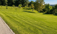 Grundstück - 4221, Steyregg - Baugrund | Panoramablick über Linz | Gesamt 1.525 m² oder geteilt ab € 179.500 | Sackgassenlage | Steyregg, OÖ