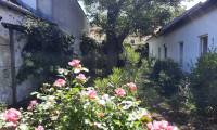 Haus - 2752, Wöllersdorf - Lebe lieber ungewöhnlich! ... mit Ausbaumöglichkeit für Ordination, Kanzlei, Geschäftslokal, ...