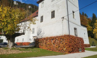 Haus - 8950, Niederhofen - Renaissance-Schloss auf 15 ha Grund – seltene Gelegenheit für touristische Nutzung oder Family Office