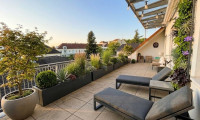 Wohnung - 4320, Perg - Wohnung mit großer Dachterrasse in perfekter Innenstadtlage!