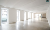 Büro / Praxis - 1100, Wien - Loft in bester Hoflage der Brotfabrik Wien!