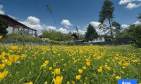 Grundstück - 9991, Dölsach - Baugrund im Grünen