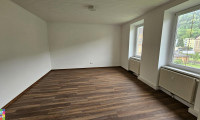 Wohnung - 8700, Donawitz - Frisch saniert 1-Zimmerwohnung mit Küche