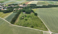 Haus - 3742, Theras - Villa auf Traumgrundstück  I 33.457m² I 240m² Wohnfläche I Sauna I Garage I Altbaumbestand