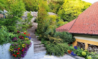 Haus - 2500, Baden - Haus zu mieten beim Kurpark