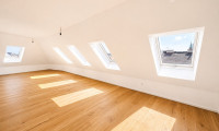 Wohnung - 1100, Wien,Favoriten - Dachgeschoßwohnung - 3-Zimmer - 1100 Wien