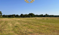Grundstück - 2822, Bad Erlach - Attraktives Grundstück zum Kauf mit 1.149 m² in 2822 Bad Erlach