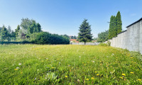 Wohnung - 2811, Wiesmath - Eigennutzen oder Rendite - Tolle Erdgeschosswohnung mit 43 m² und allgemeinen Garten (Top 1) in Wiesmath