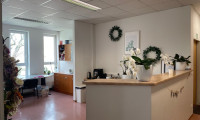 Büro / Praxis - 1220, Wien - 267m² vielseitig zu nutzende Bürofläche