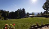 Haus - 8530, Trahütten - *** Exklusives Grundstück in Traumlage Trahütten – Natur, Bergpanorama & unmittelbare Nähe zur Weinebene und Koralm ***