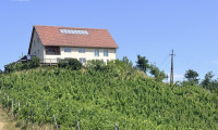Haus - 8463, Leutschach - Lage! Lage! Lage! Traumhaftes Anwesen mit Rundumblick und Weingarten in der Südsteiermark