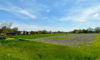 Grundstück - 7152, Pamhagen - Bau- und Freizeitgrundstücke in UNGARN neben der Grenze | Bis zu 9.285 m2 erweiterbar! | Natur pur in der UNESCO-Kulturlandschaft Fertő-Neusiedler See!