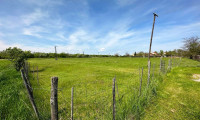 Grundstück - 9434, Sarród - Bau- und Freizeitgrundstücke | Bis zu 9.285 m2 erweiterbar! | Natur pur in der UNESCO-Kulturlandschaft Fertő-Neusiedler See!